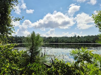 282 Byrd Rd, Crescent City, Flórida 32112, Estados Unidos