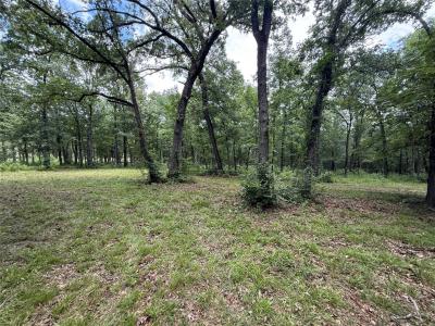 0000 County Road 1130, Lone Oak, Texas 75453, Estados Unidos
