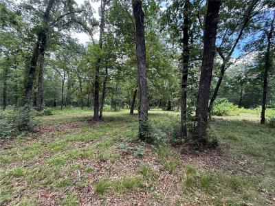 0000 County Road 1130, Lone Oak, Texas 75453, Estados Unidos