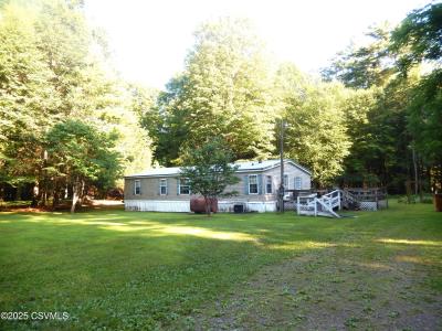 18B Hollinger Lane, Benton, Pennsylvania 17814, USA
