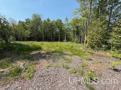 8690 Freda Rd, Atlantic Mine, Мичиган 49905, Соединенные Штаты
