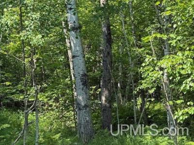 8690 Freda Rd, Atlantic Mine, Мичиган 49905, Соединенные Штаты