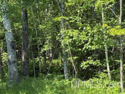 8690 Freda Rd, Atlantic Mine, Мичиган 49905, Соединенные Штаты