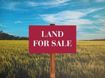 Vishaj, Tirana, Albania