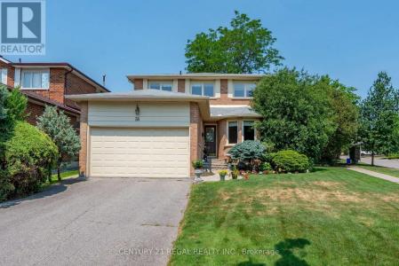36 LINDEMANN STREET, Markham (aileen-willowbrook), 安大略省 L3T 5M8, 加拿大