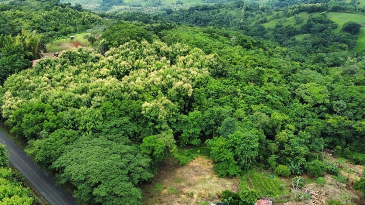 Hojancha Hojancha, Guanacaste 51101, Costa Rica