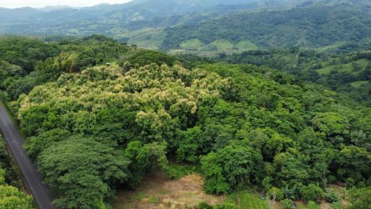 Hojancha Hojancha, Guanacaste 51101, Costa Rica