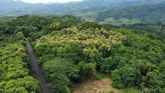 Hojancha Hojancha, Guanacaste 51101, Costa Rica