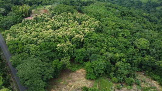 Hojancha Hojancha, Guanacaste 51101, Costa Rica