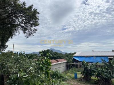 北投子段, Tamsui Dist., نيو تايبيه 251, تايوان