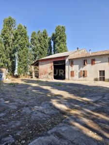 Via San Zeno, Cerea, Veneto 37053, Italia