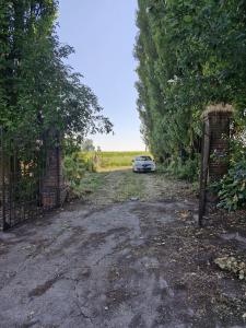 Via San Zeno, Cerea, Veneto 37053, Italy