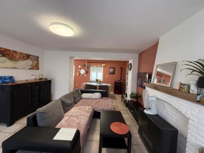 Rue du Saubin 14, Hornu, 7301, 벨기에