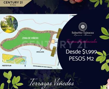 VIñEDOS SANTA MARIA LT 15 MZ 43,, Santa Maria Del Río, 圣路易斯波托西 79560, 墨西哥