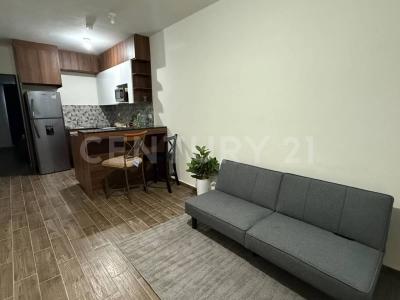 Melchor Ocampo 321,, Guadalupe, Нуэво-Леон 67117, Мексика