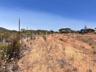 Parcela 7-BIS S/N,, Ensenada, Baja California 22766, Mexico