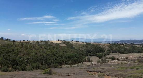 Las Tinajas sin número,, Morelos, Estado De México 50585, Mexico