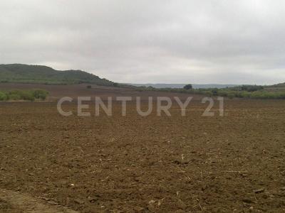 Montemorelos, Nuevo León 67500, Mexique