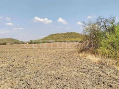 Montemorelos, Nuevo León 67500, Mexique