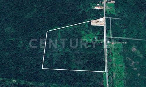 Tixpehual, Yucatan 97389, Mexico