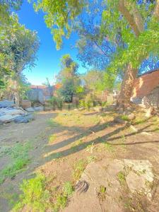 Galvez 170, Arroyo Seco, Santa Fe 00001, Argentina
