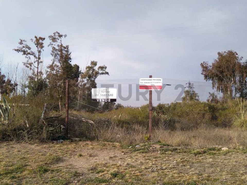 Ruta 82 82, Luján De Cuyo, Mendoza 5549, ארגנטינה