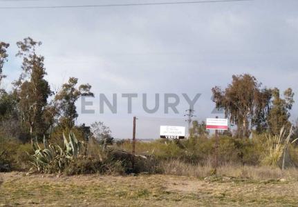 Ruta 82 82, Luján De Cuyo, Mendoza 5549, ארגנטינה
