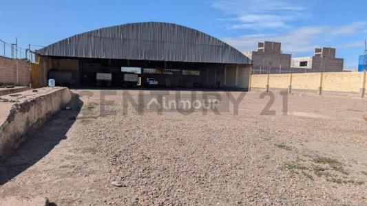 Rodeo De La Cruz, Mendoza 5500, Argentinien