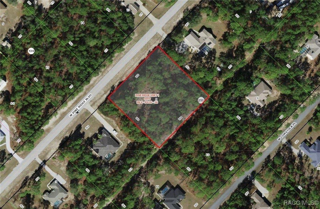 5448 W Pine Ridge Boulevard, Beverly Hills, Florida 34465