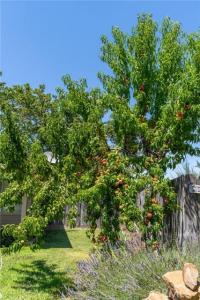 1055 Blue Ridge Avenue, Chico, California 95973