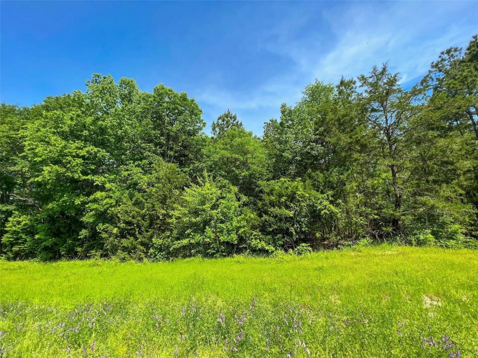 TBD FM 195, Clarksville, Texas 75426, Estados Unidos