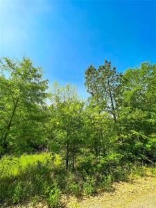TBD FM 195, Clarksville, Texas 75426, Estados Unidos