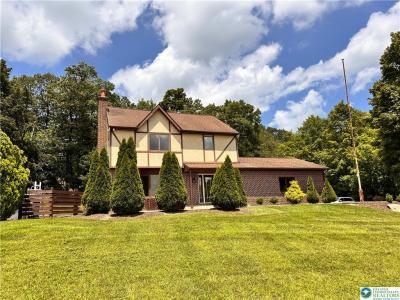 6265 Venture Court, Washington Twp, Pennsylvania 18080, USA