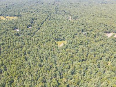 2905 Brunswick Road, Holton, Michigan 49425, USA