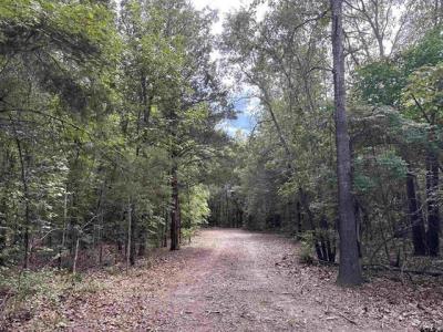 22417 CR 455, Mineola, Texas 75773, USA