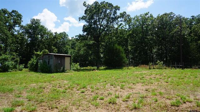790 County Road 1681, Alba, テキサス 75410, アメリカ合衆国