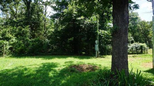 790 County Road 1681, Alba, テキサス 75410, アメリカ合衆国