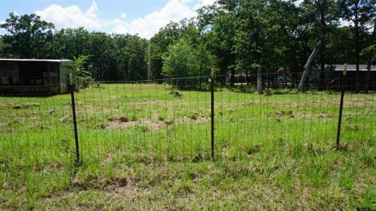 790 County Road 1681, Alba, テキサス 75410, アメリカ合衆国