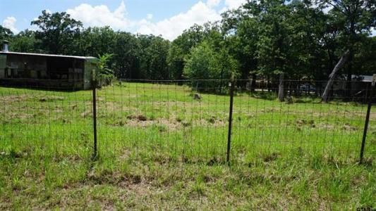 790 County Road 1681, Alba, テキサス 75410, アメリカ合衆国