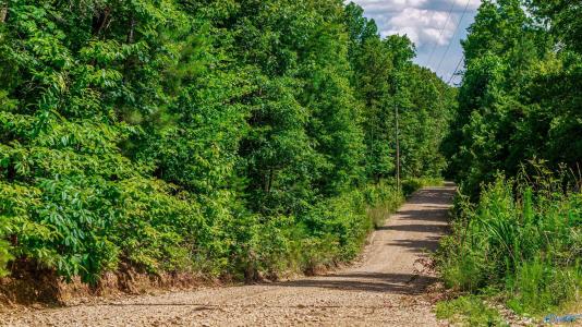 429 A County Road 627, Mentone, Alabama 35984
