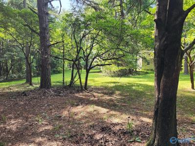 429 A County Road 627, Mentone, Alabama 35984, USA