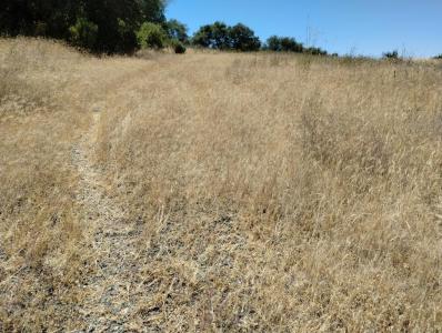 17919 Kemo Lane, Penn Valley, Californie 95946, États-Unis