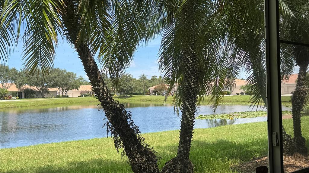 8228 Simpson Falls Court, Sarasota, Florida 34243