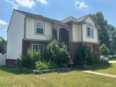33555 Birchlawn, Westland, Мичиган 48185, Соединенные Штаты