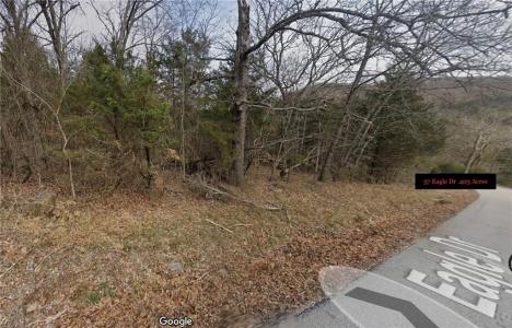 57 Eagle Dr., Holiday Island, アーカンソー 72631, アメリカ合衆国
