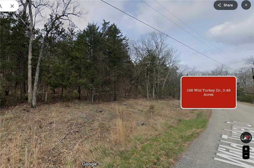 198 Wild Turkey Dr., Holiday Island, アーカンソー 72631, アメリカ合衆国
