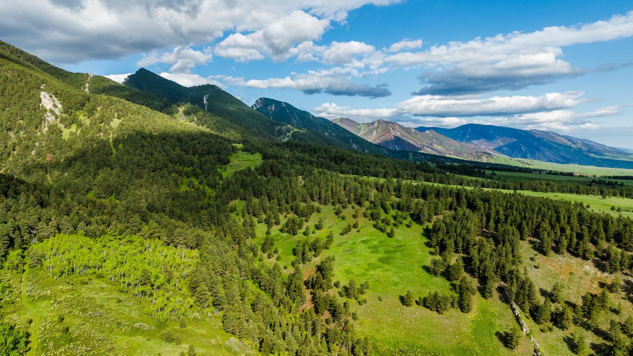 Sanctuary Ranch, Sheridan, Wyoming 82801