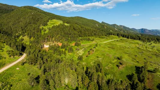 Sanctuary Ranch, Sheridan, Wyoming 82801