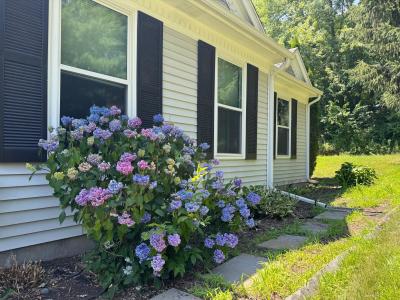 12183 Grandview Drive, Jerome, 미시건 49249, 미국