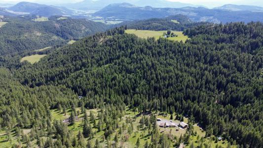 Lot 1 Randall Rd, Colville, Washington 99114
